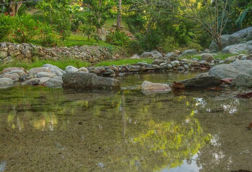 Manigua Tayrona Hostel