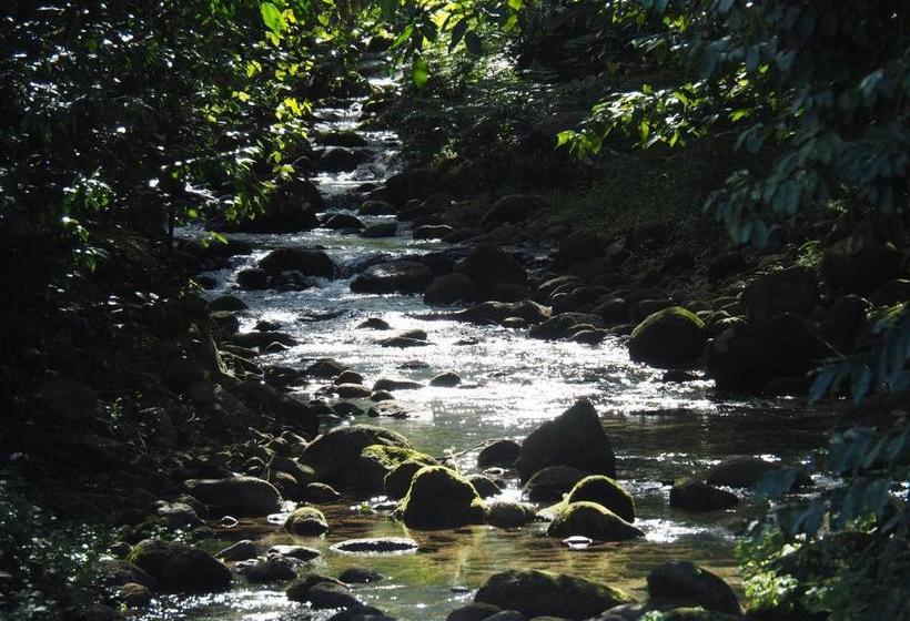 بنسيون Babinda Quarters