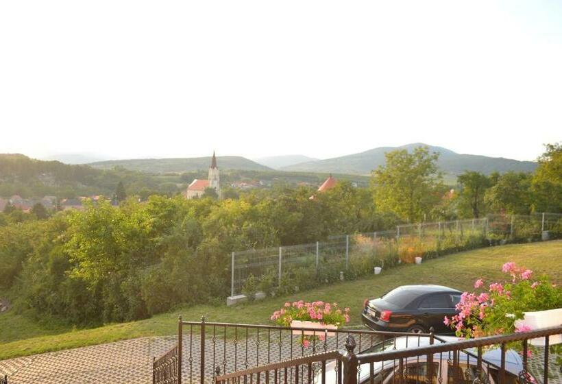 Пансион Berezdtető Vendégház
