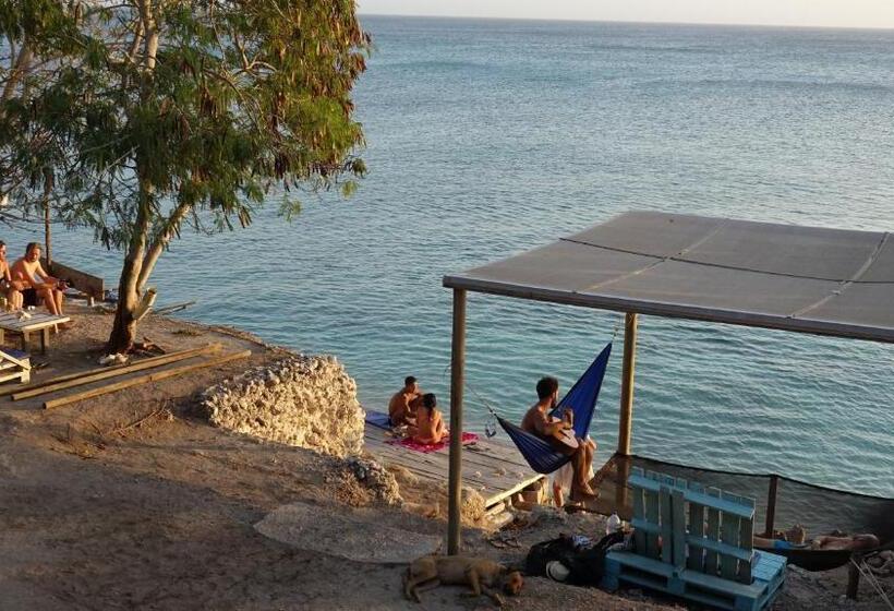 پانسیون El Hamaquero Hostal Econativo