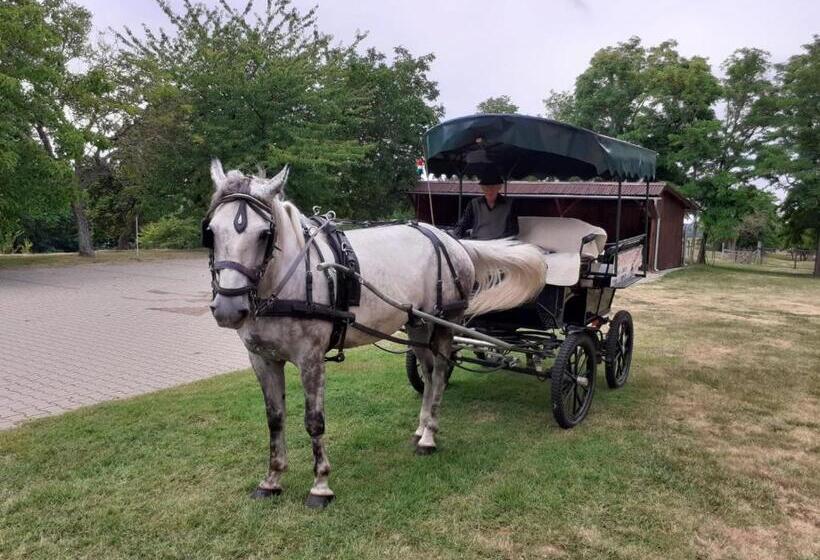 بنسيون Vadaspuszta Vendeghaz