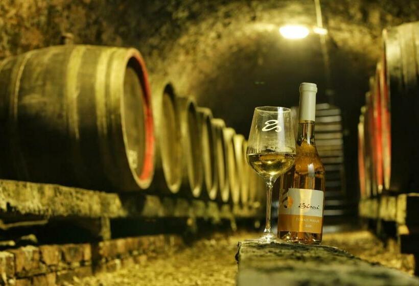 פנסיון Zsirai Guest House