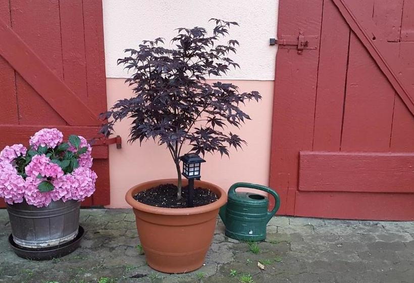 ペンション Zur Dorfschänke