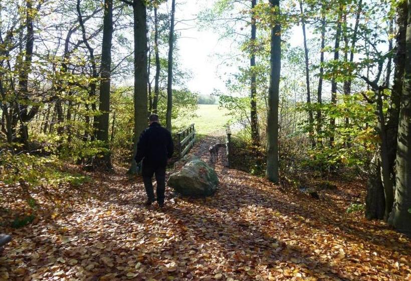 ペンション Zur Dorfschänke