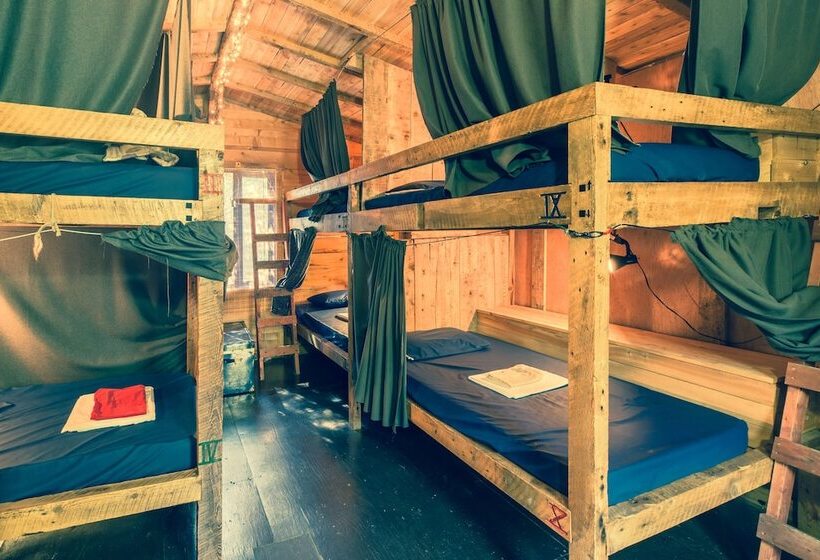 הוסטל Auberge/chalet Griffon Aventure