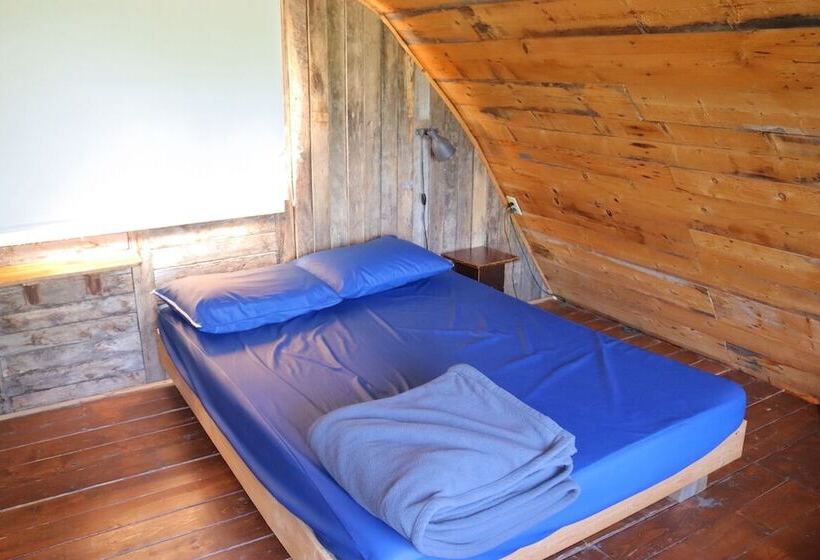 הוסטל Auberge/chalet Griffon Aventure