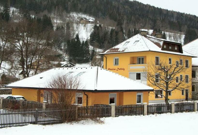 הוסטל Pension & Ferienwohnung Dullnig