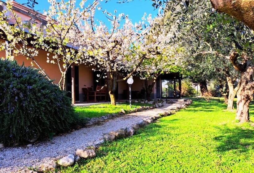مبيت وإفطار Don Federico Country Inn