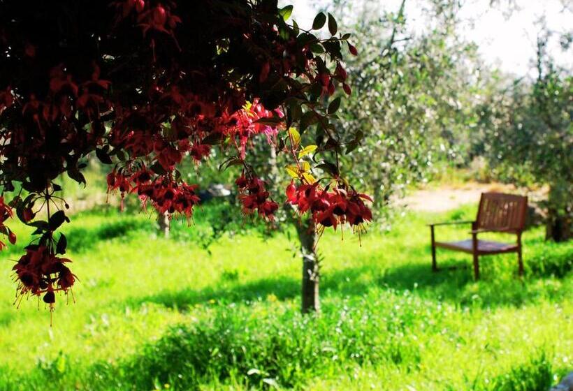 مبيت وإفطار Don Federico Country Inn