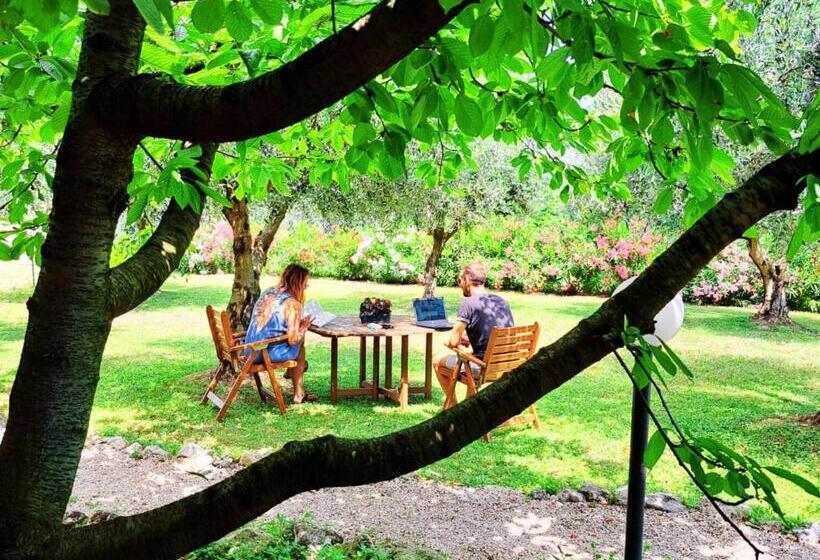 مبيت وإفطار Don Federico Country Inn