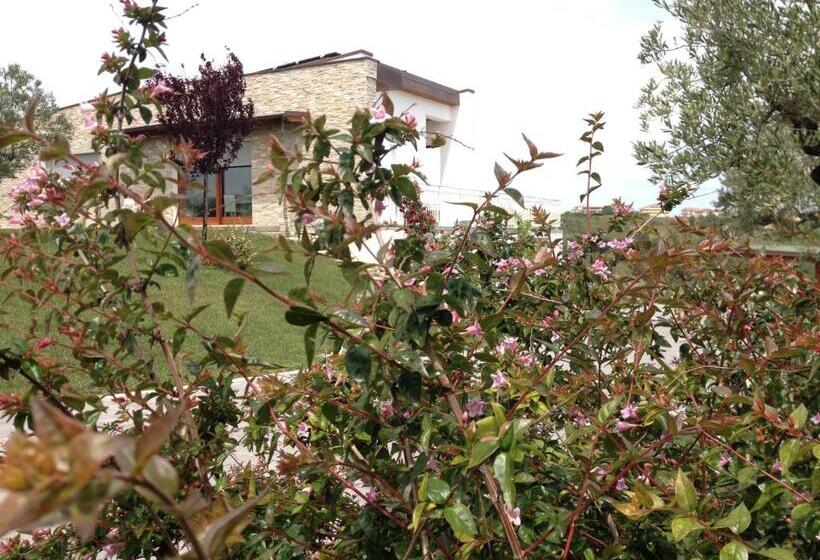 住宿加早餐  Gioia In Collina
