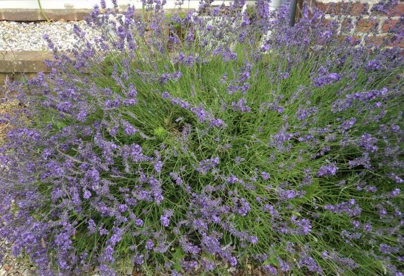 ベッドアンドブレックファースト La Demeure