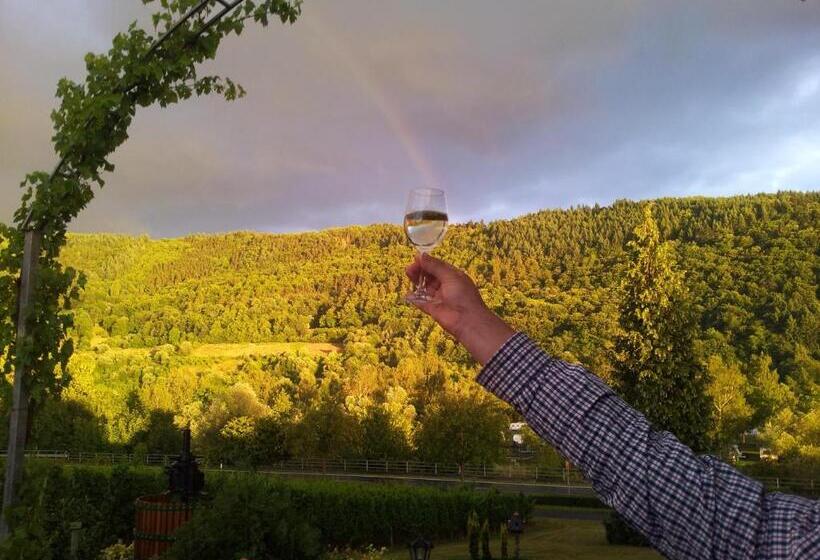 ペンション Ferienweingut Liebfried