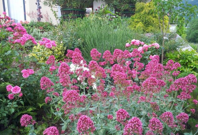 ペンション Ferienweingut Liebfried