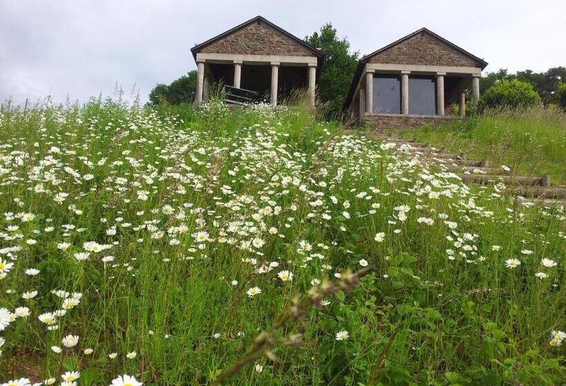 ペンション Ferienweingut Liebfried