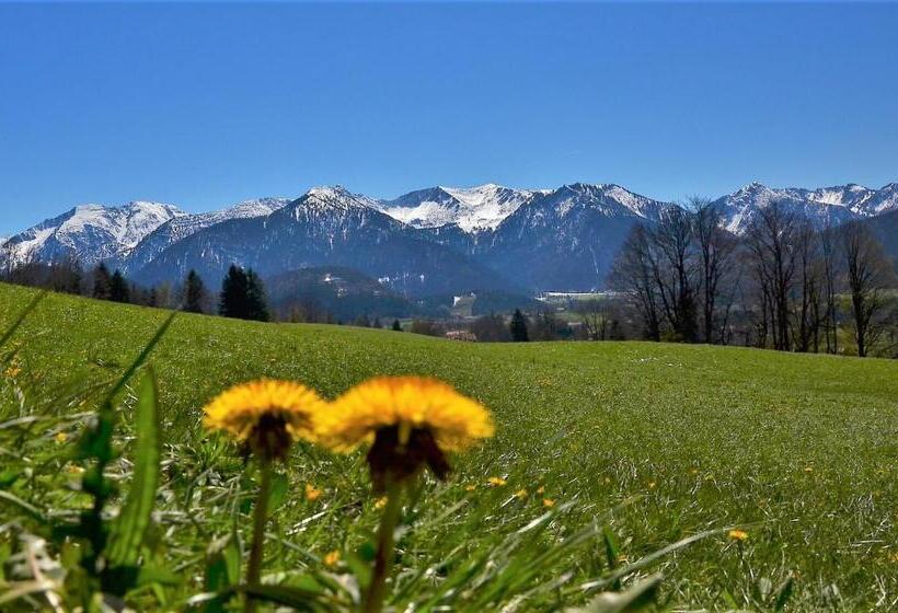 Пансион Gästehaus Sonnenbichl