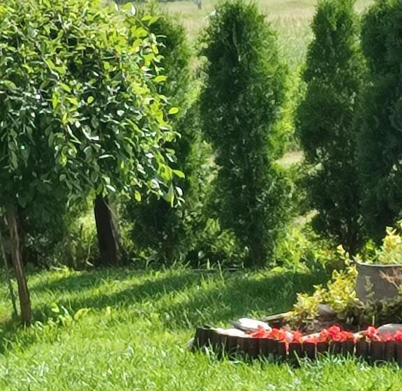 פנסיון Guest House Belchin View