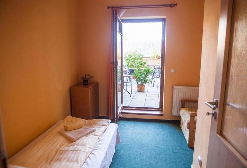 پانسیون Penzion Černej Pták