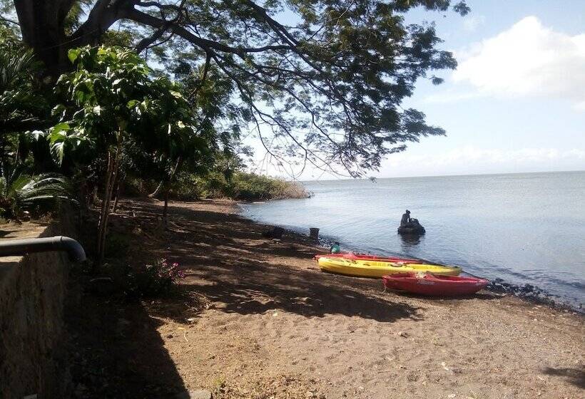 هاستل Los Chocoyos