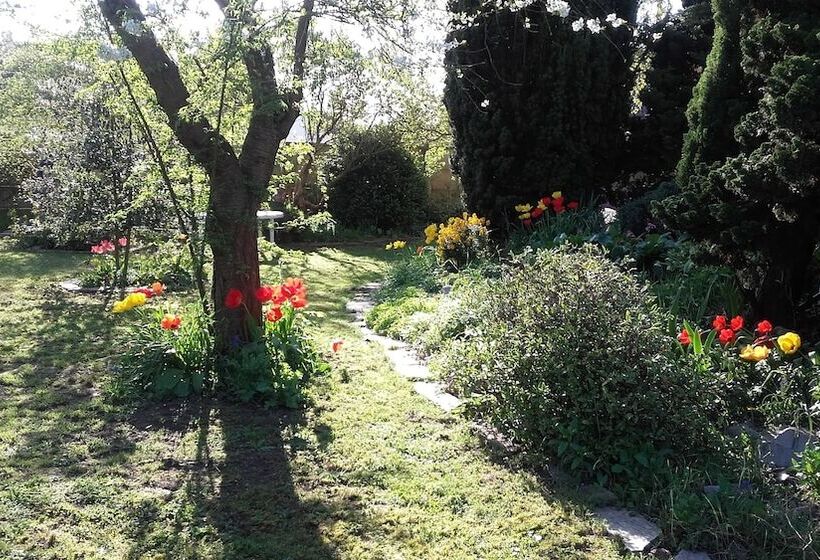 ベッドアンドブレックファースト Chambres Du Jardin Fleuri