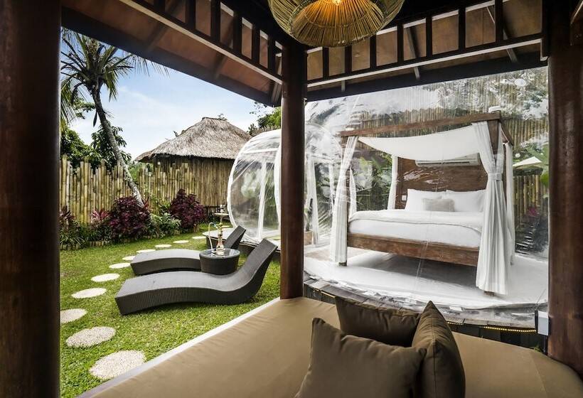 Bubble Hotel Bali Ubud   Adults Only