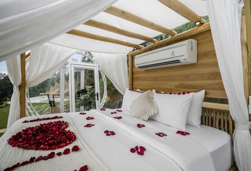 Bubble Hotel Bali Ubud   Adults Only