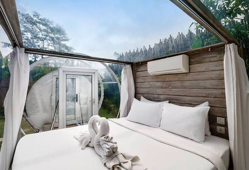 Bubble Hotel Bali Ubud   Adults Only