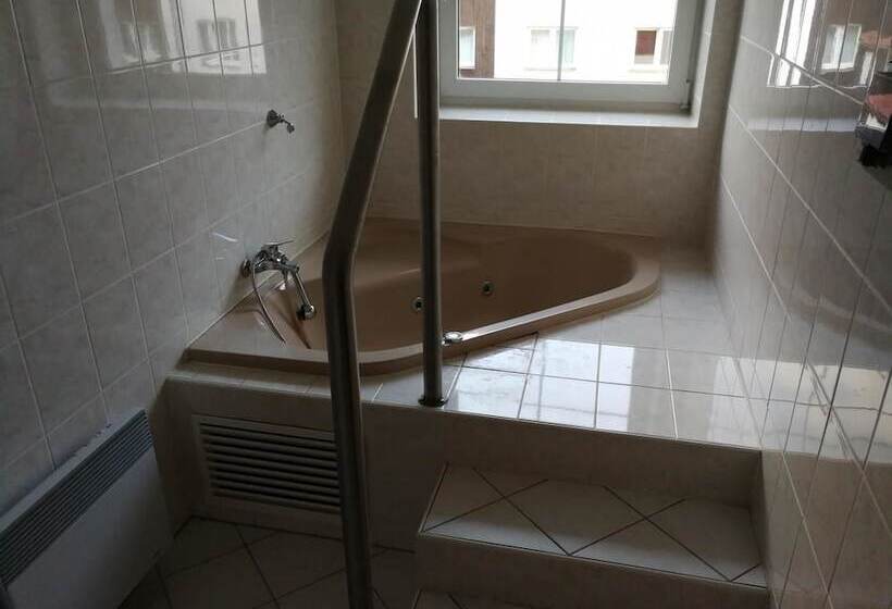 בית מלון כפרי U Anděla Michaela