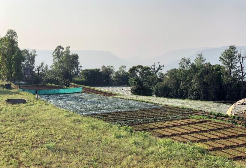 בית מלון כפרי Valley Exotica