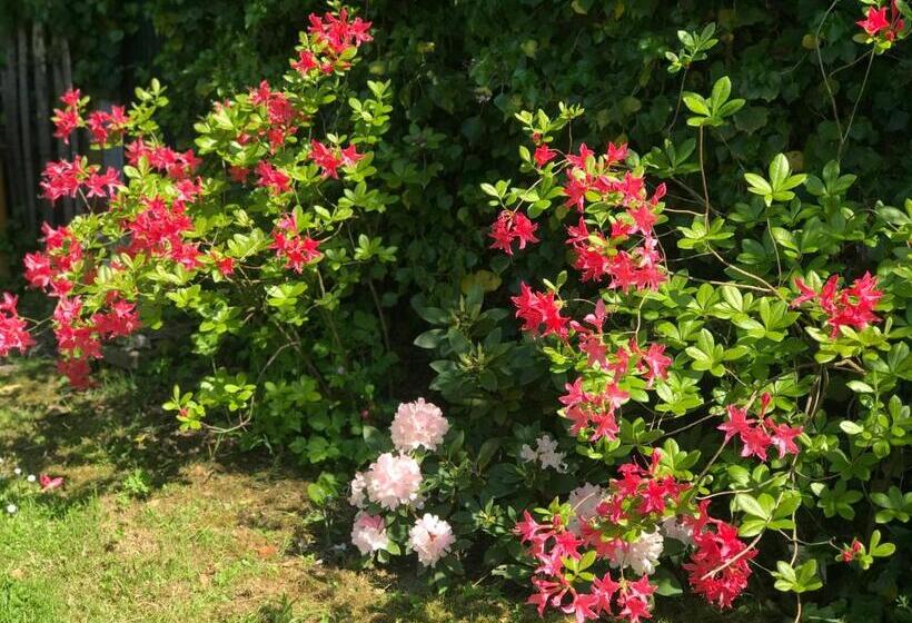 膳宿费 Chambre D Hotes  Coquelicot