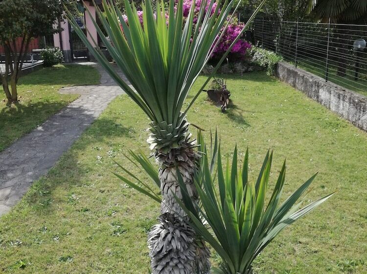 Villa Rosy B&b