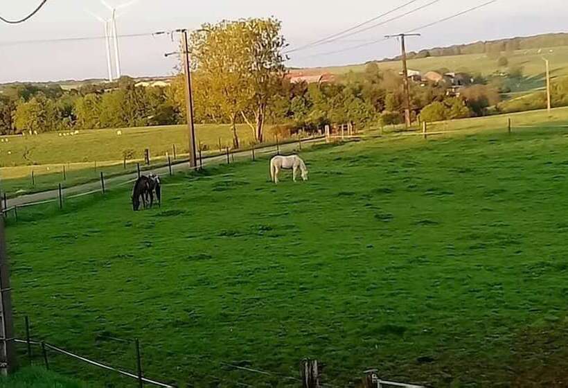 مبيت وإفطار Jad Ranch