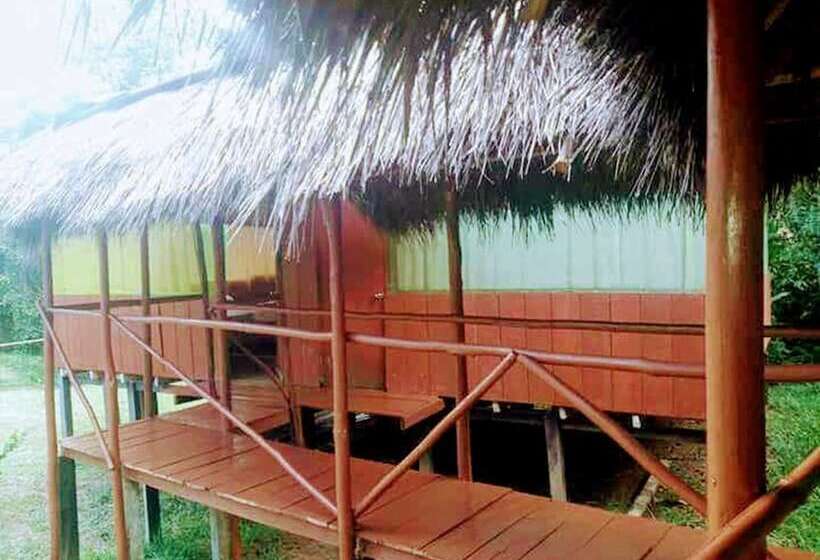 Отель Amazon Queen Lodge