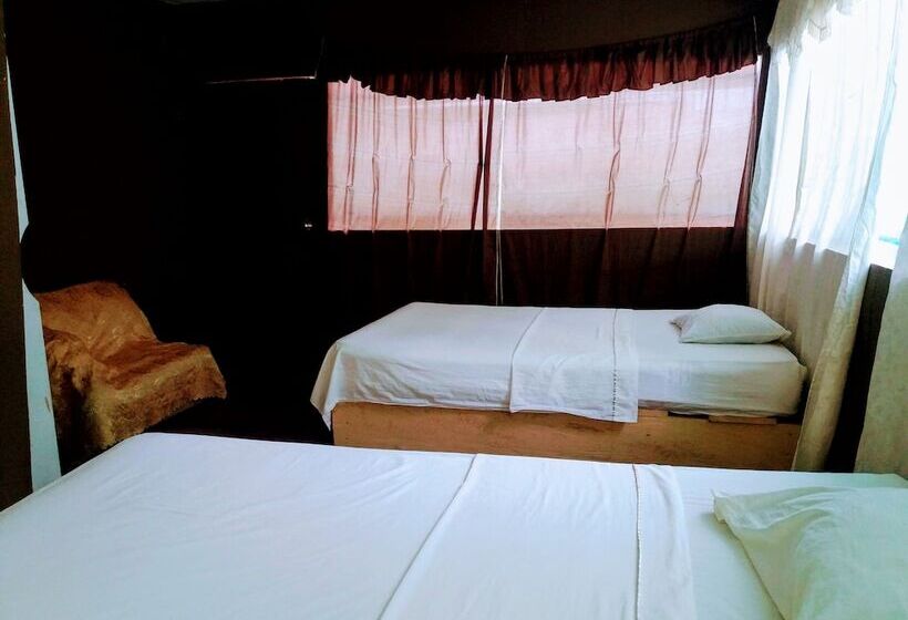 Отель Amazon Queen Lodge