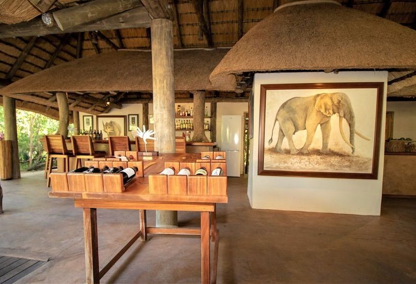 Отель Tembe Elephant Park Lodge