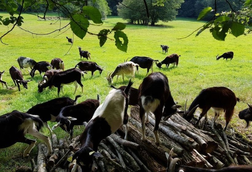 Пансион Les Roulottes à La Ferme Du Magnyrobert