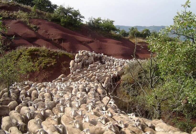 渡假胜地  Le Hameau Des Genets