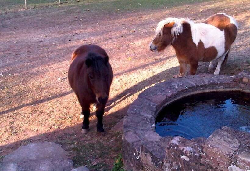 渡假胜地  Le Hameau Des Genets