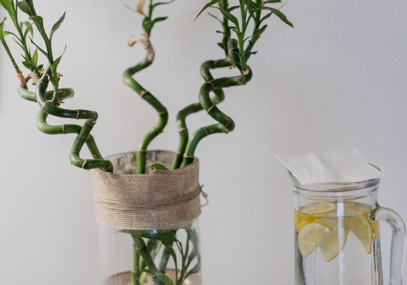 هتل Palacio De Los Navas