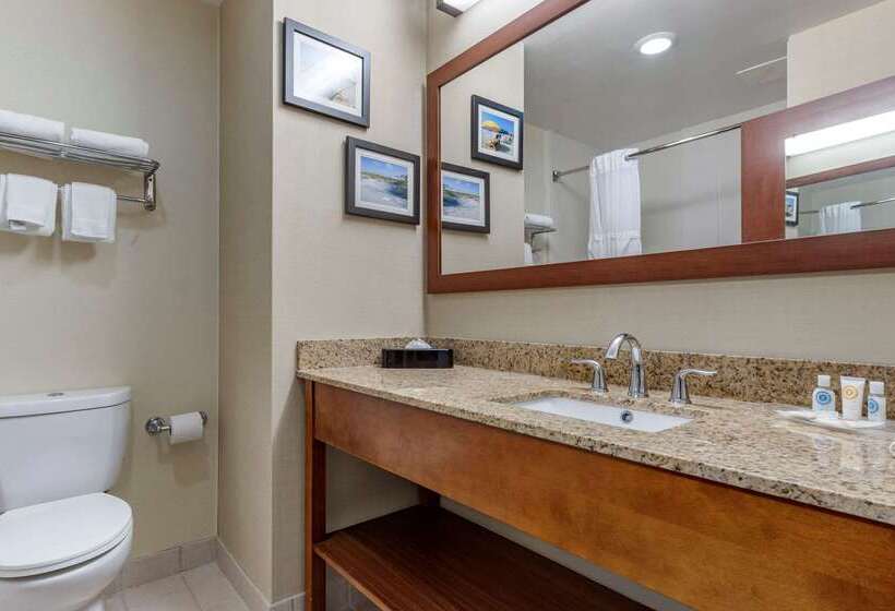 酒店 Comfort Suites Myrtle Beach Central