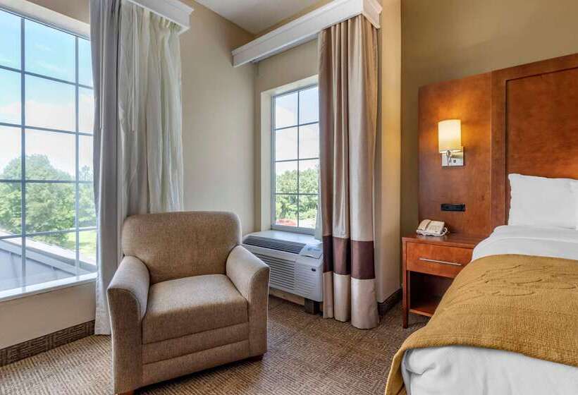 酒店 Comfort Suites Myrtle Beach Central