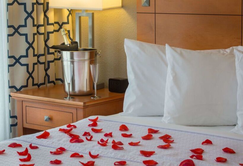 בית מלון כפרי Homewood Suites By Hilton Orlando Int L Drive/convention Ctr