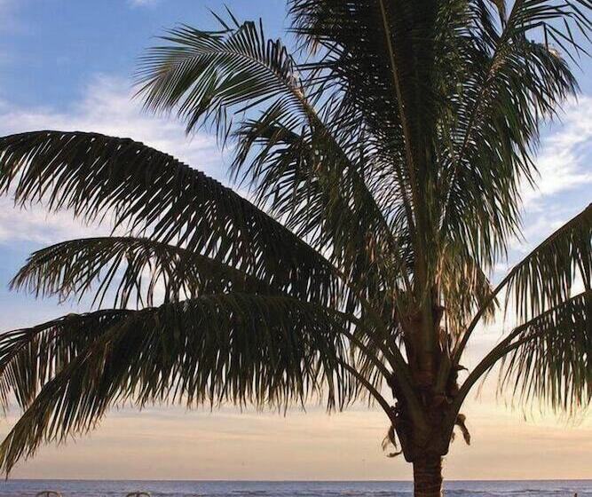 Отель Residence Inn By Marriott St. Petersburg Treasure Island