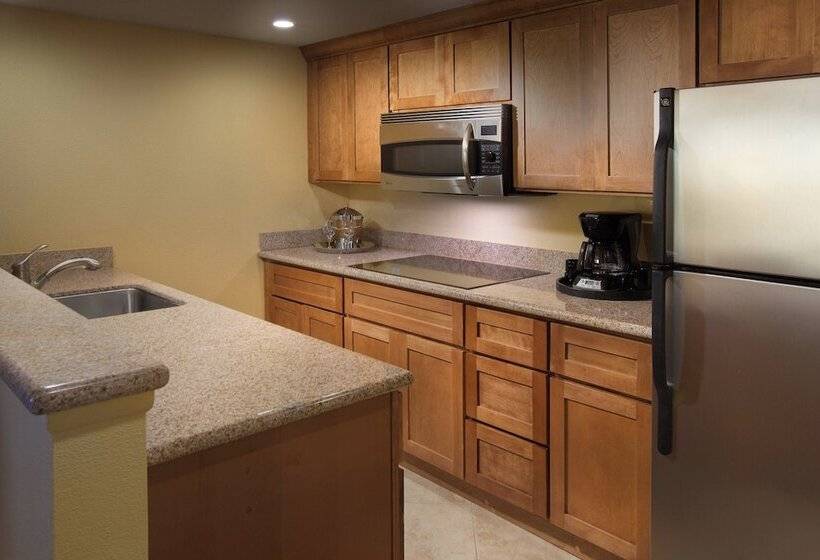 Отель Residence Inn By Marriott St. Petersburg Treasure Island