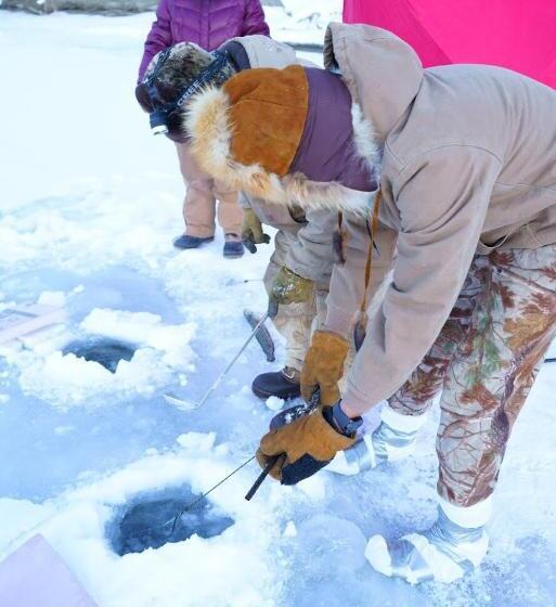 مبيت وإفطار Alaska Log Cabins On The Pond