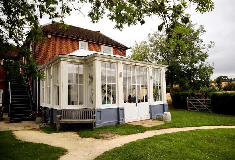 B&b Downham Hall