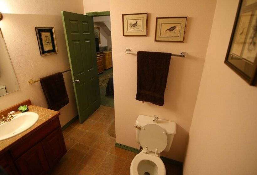 Bed and Breakfast Ivy Bear B&p