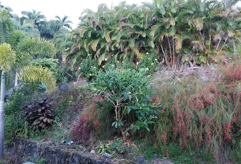 مبيت وإفطار Kona Palace In Captain Cook