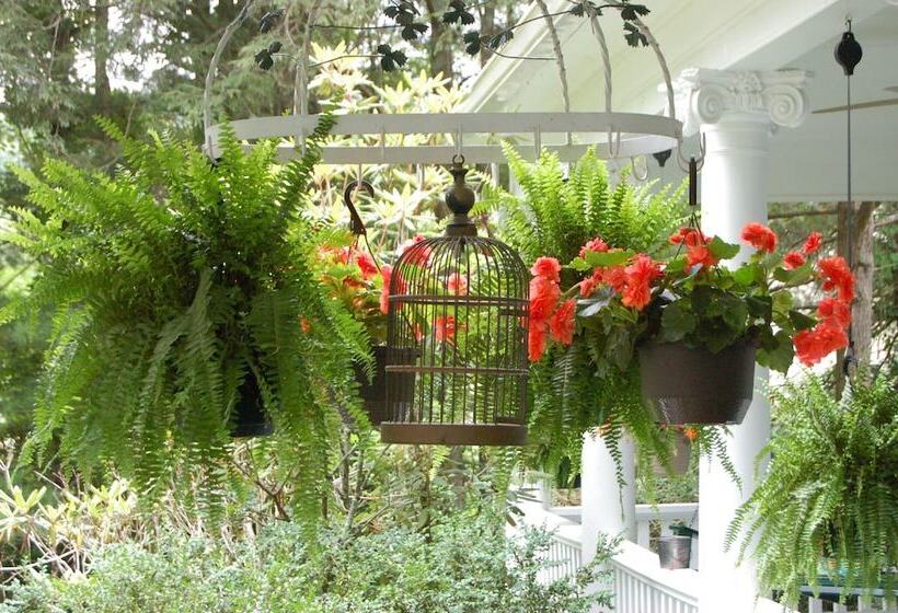 住宿加早餐  Mountain Laurel Inn