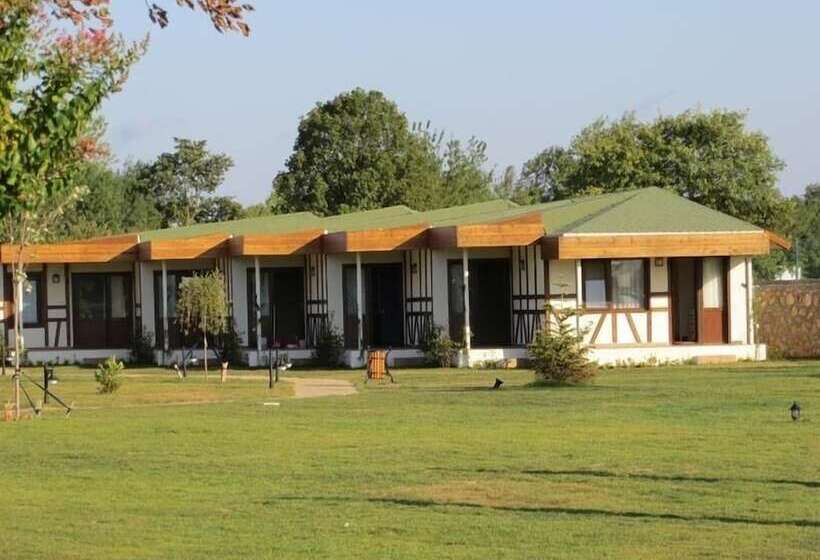 فندق Riva's Club